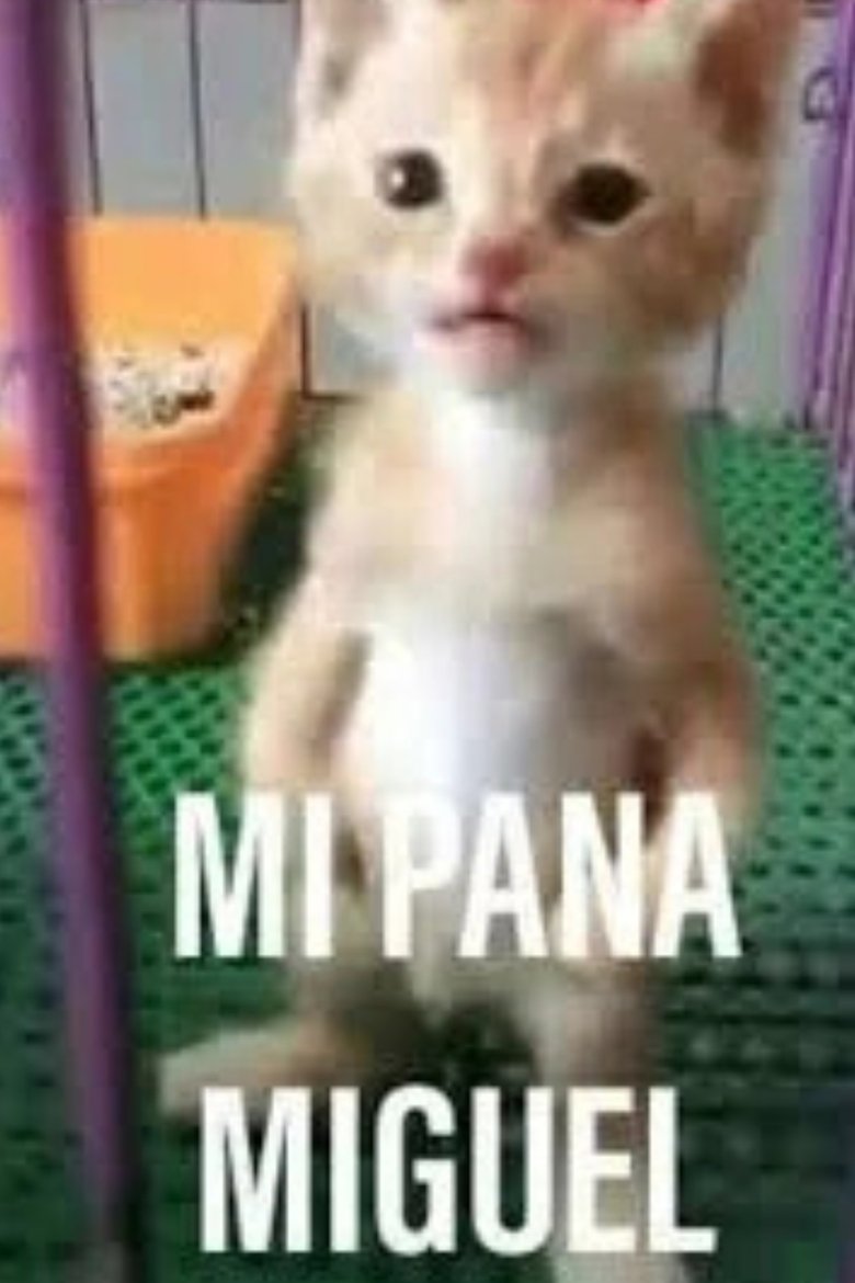 Poster of Mi Pana Miguel: La Película