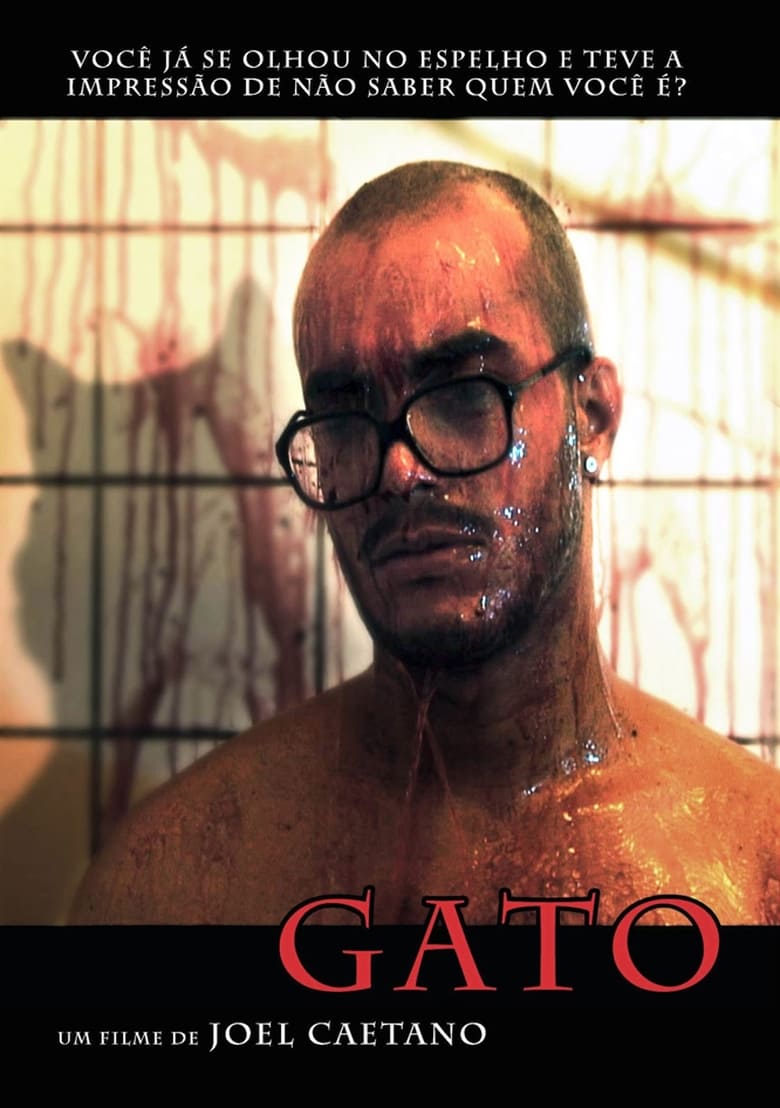 Poster of Gato