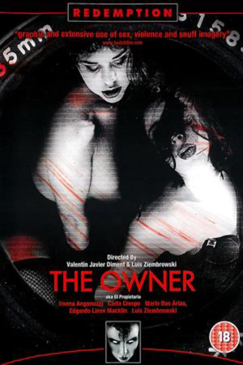 Poster of The Owner