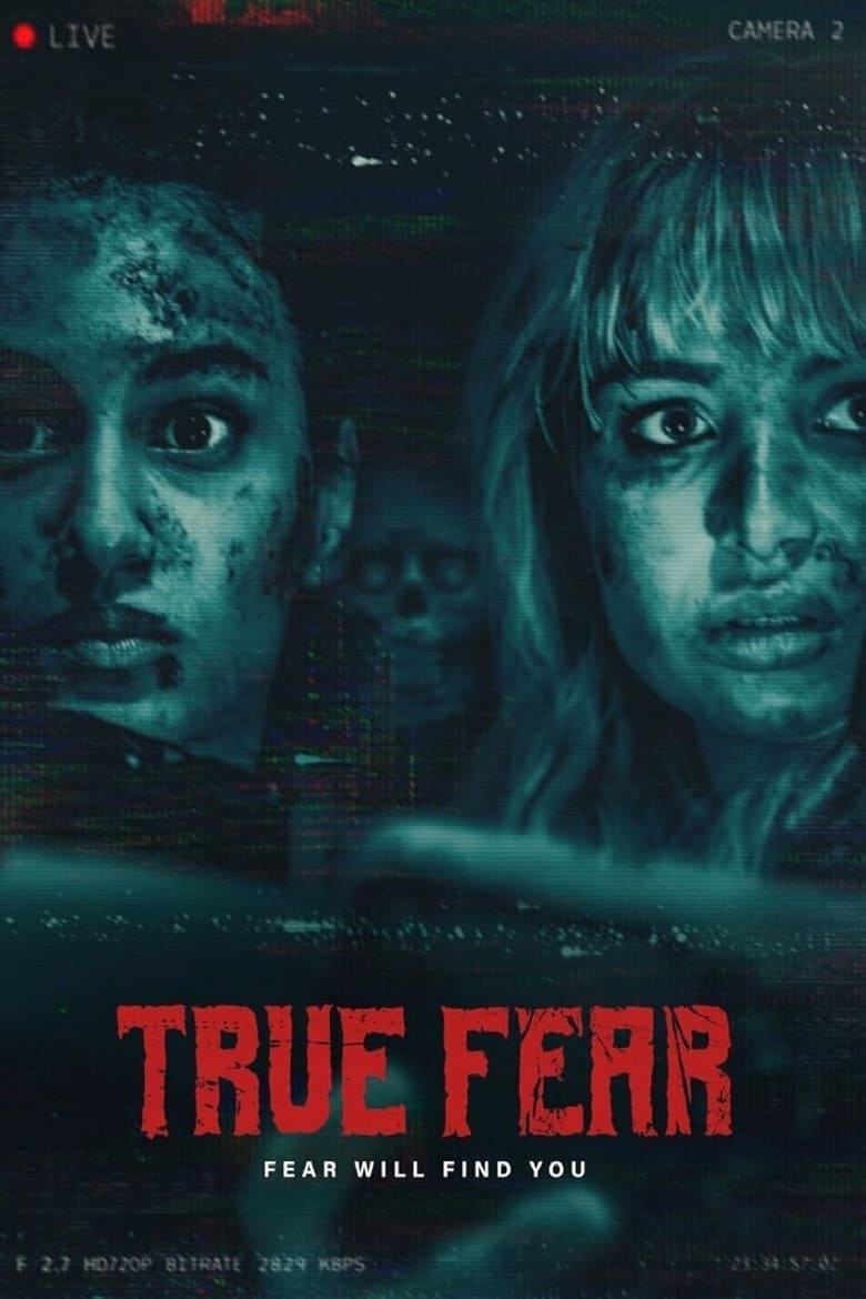 Poster of True Fear