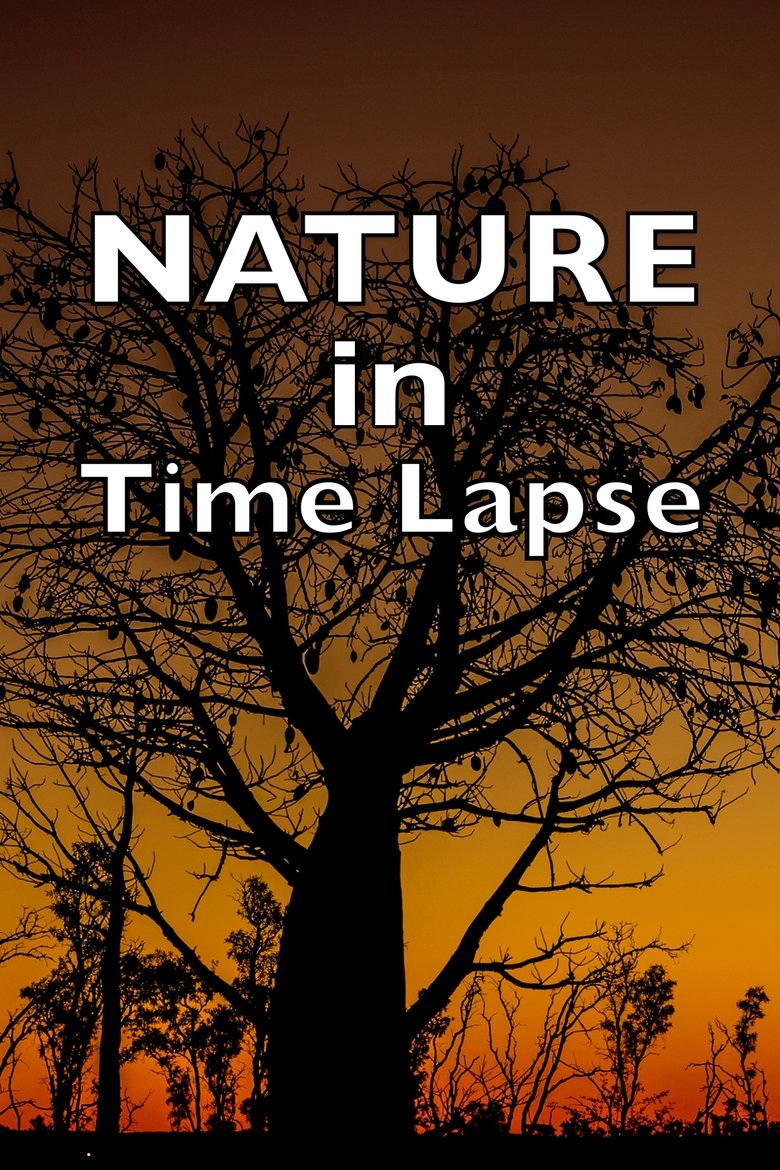 Poster of NATURE in Time Lapse