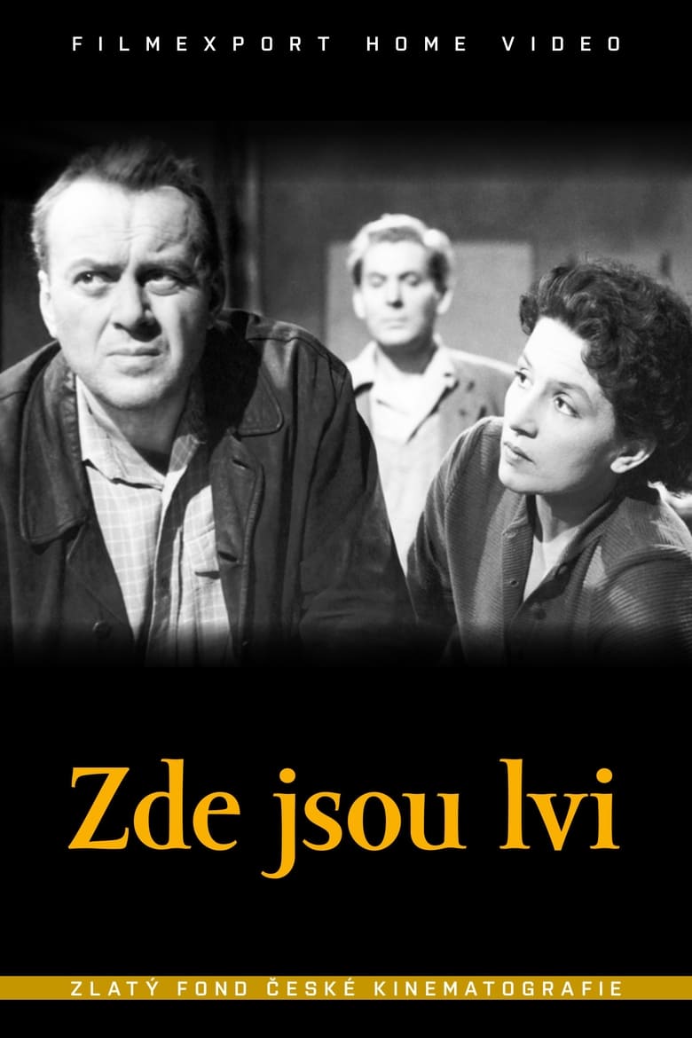 Poster of Zde jsou lvi