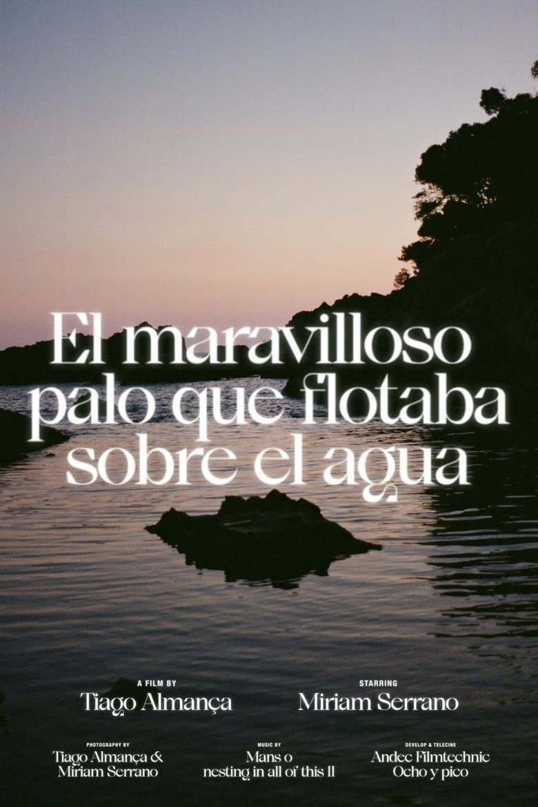 Poster of El maravilloso palo que flotaba sobre el agua