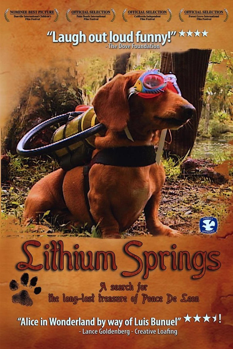 Poster of Lithium Springs