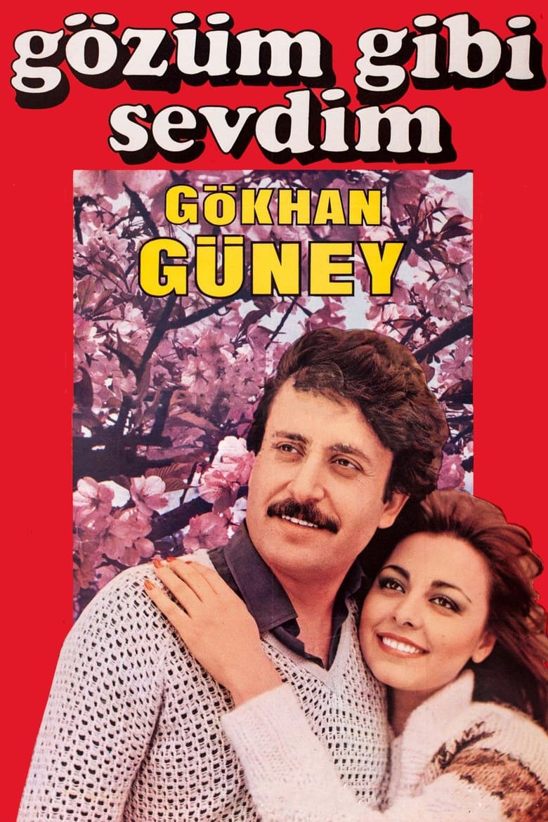 Poster of Gözüm Gibi Sevdim