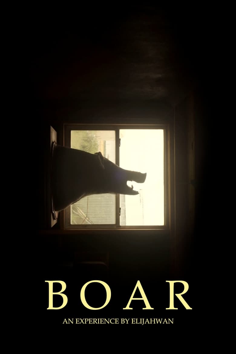 Poster of B O A R