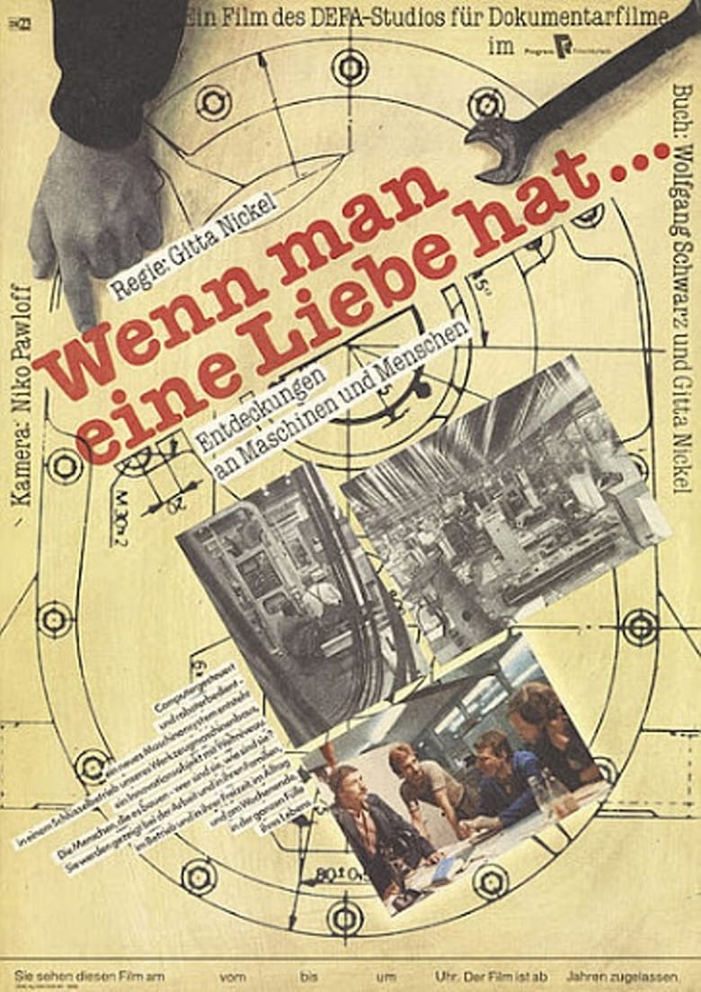 Poster of Wenn man eine Liebe hat