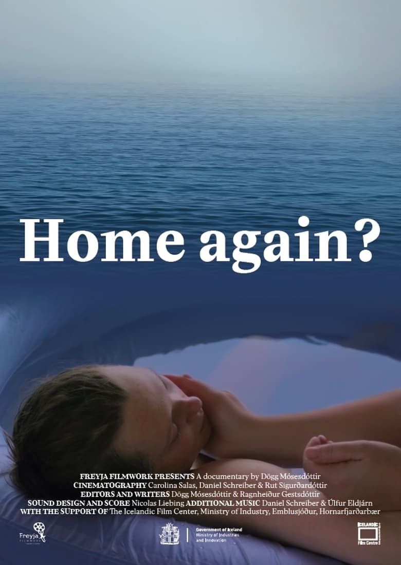 Poster of Home Again?