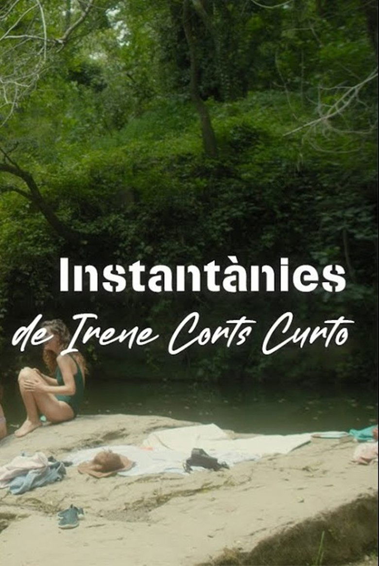 Poster of Instantànies