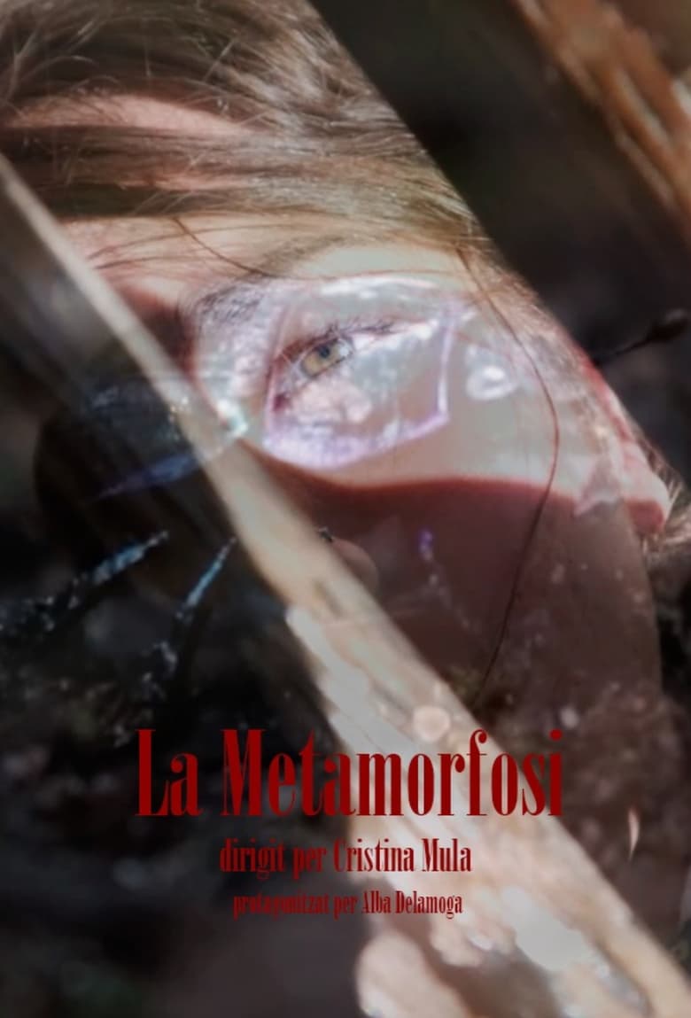 Poster of La Metamorfosi