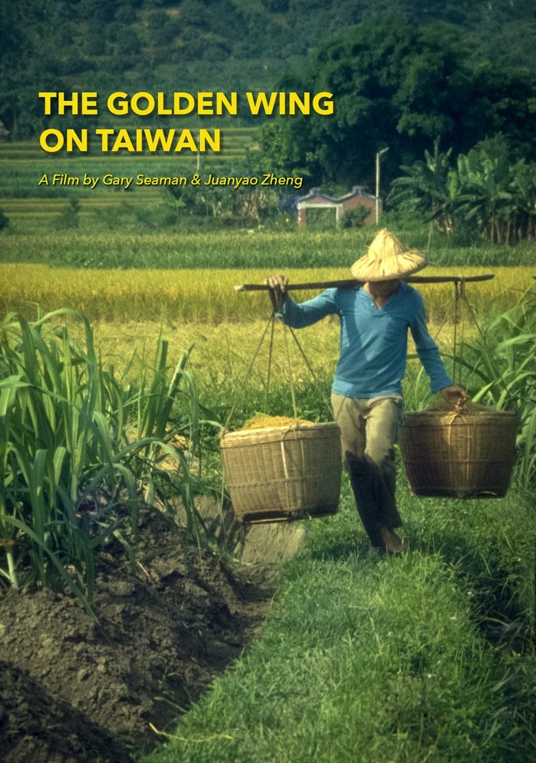 Poster of The Golden Wing on Taiwan
