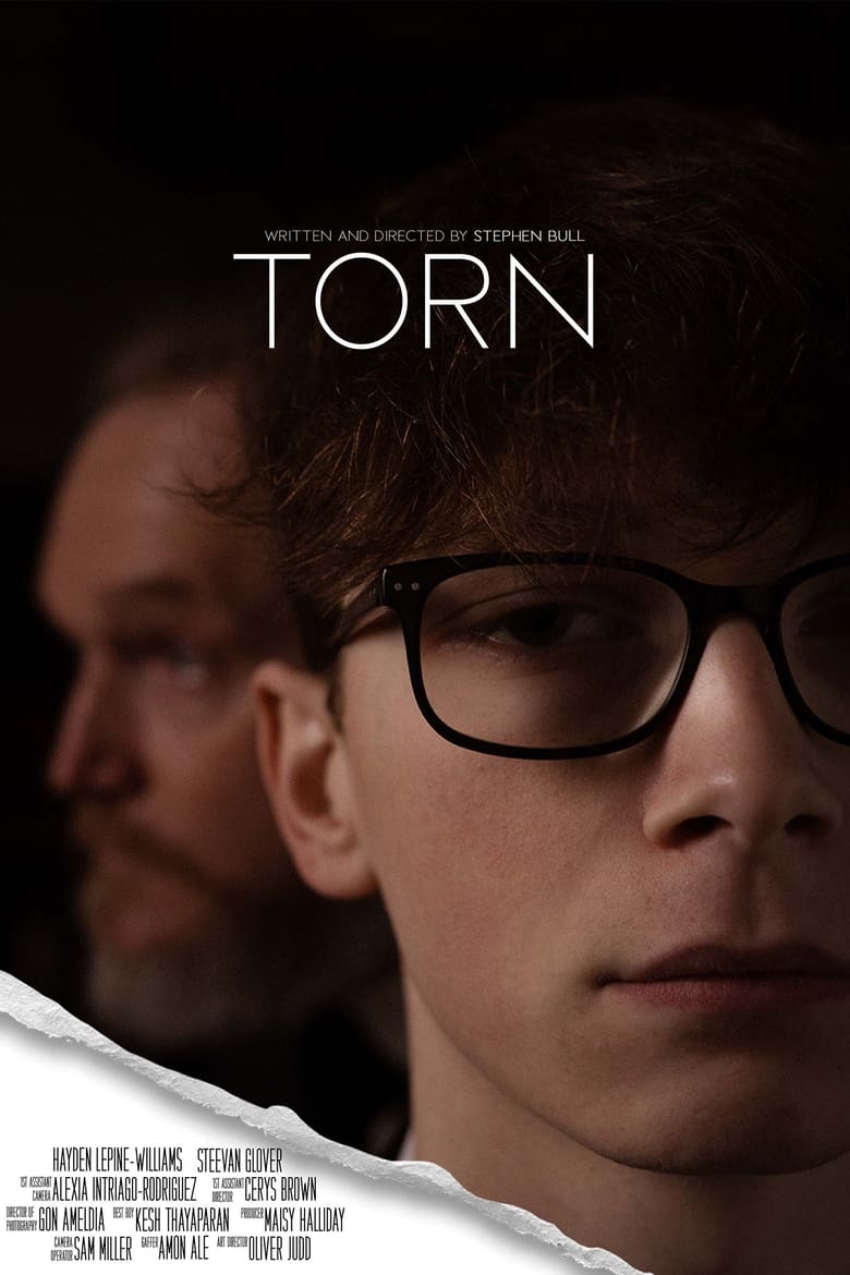 Poster of Torn