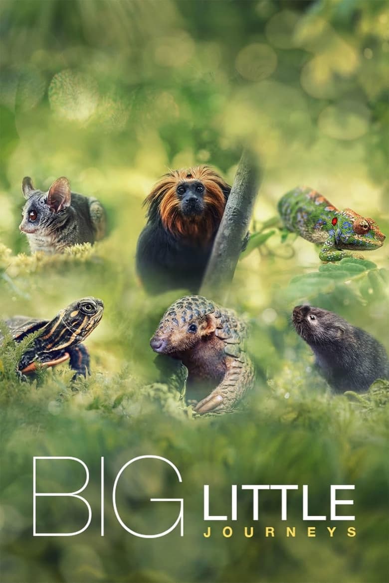 Poster of Big Little Journeys