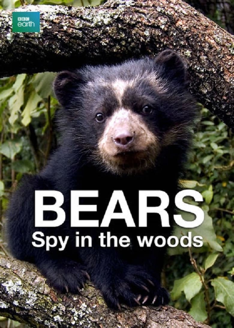 Poster of Bears: Spy in the Woods