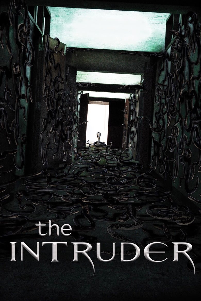 Poster of The Intruder