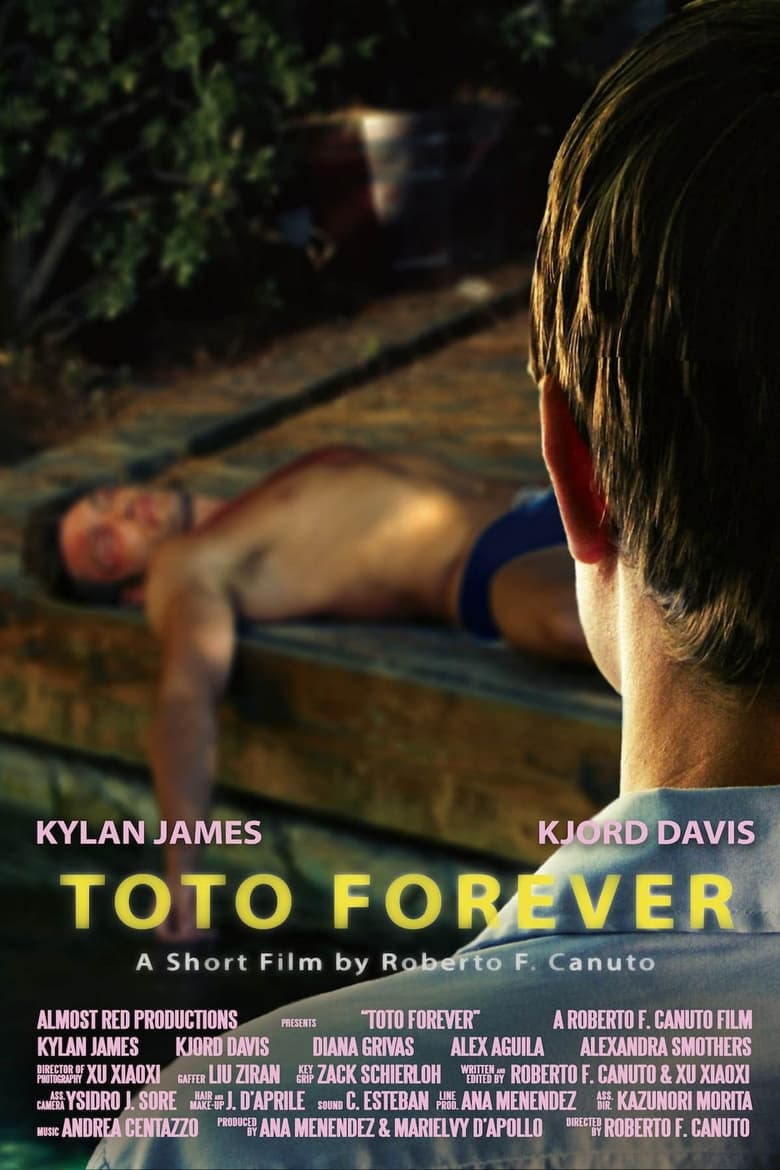 Poster of Toto Forever