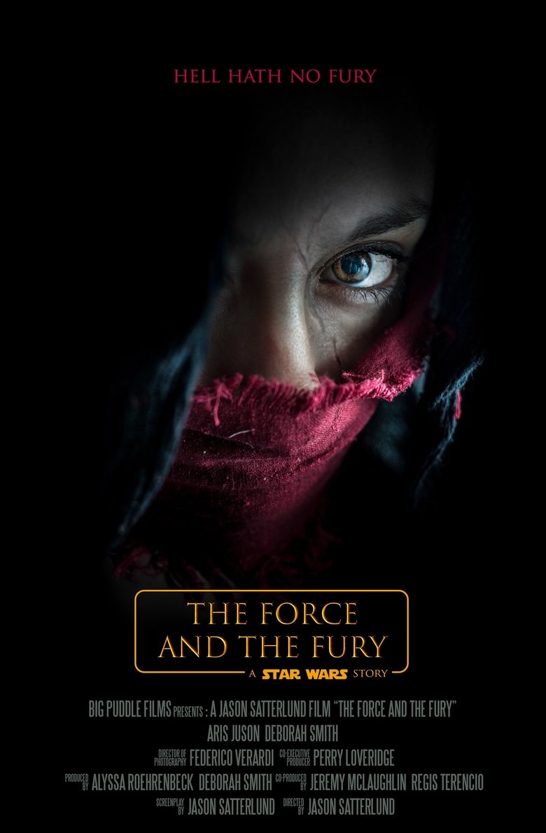 Poster of Star Wars: The Force and the Fury