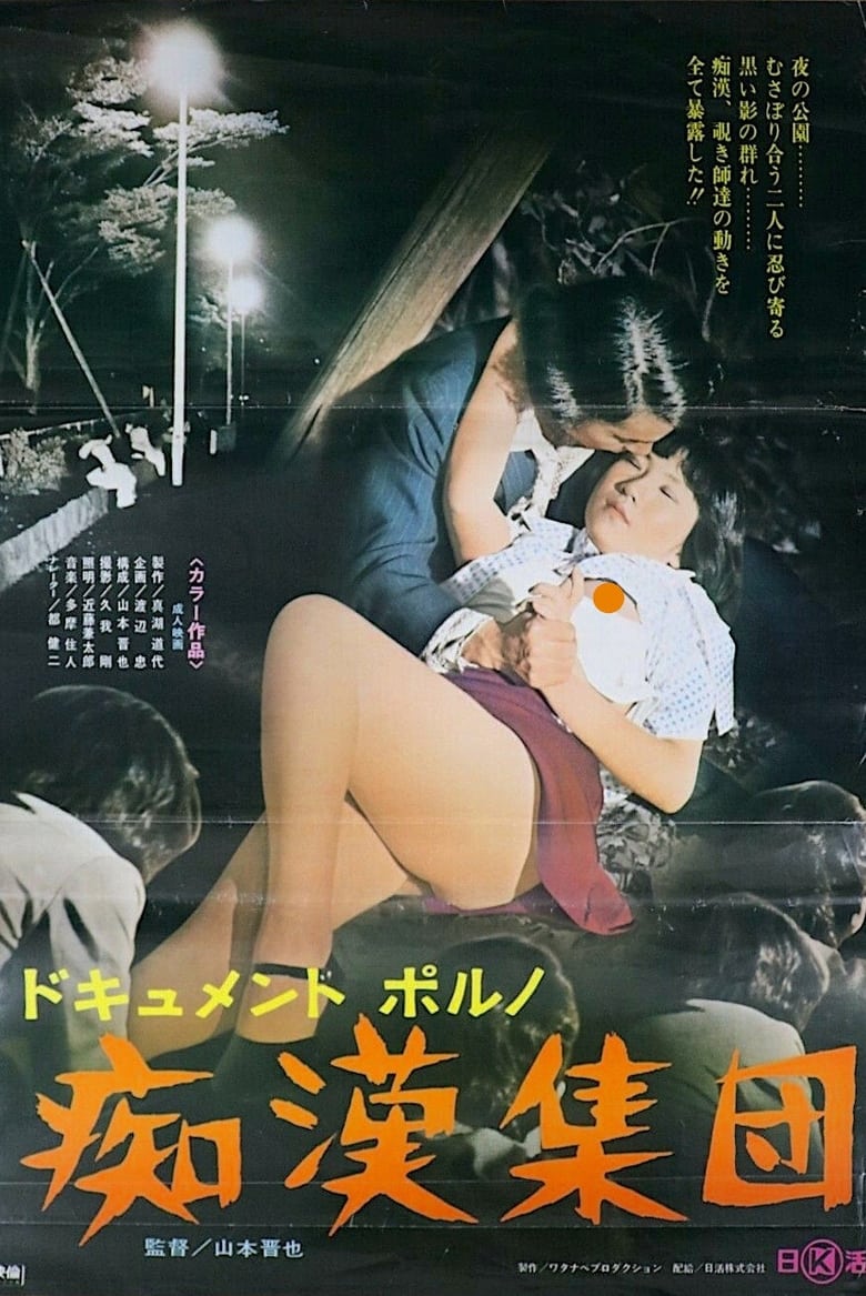 Poster of Dokyumento-poruno: chikan shūdan