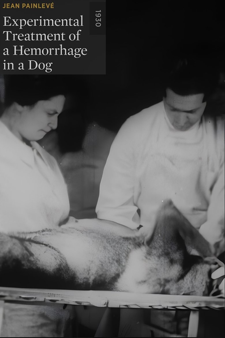 Poster of Experimental Treatment of a Hemorrhage in a Dog