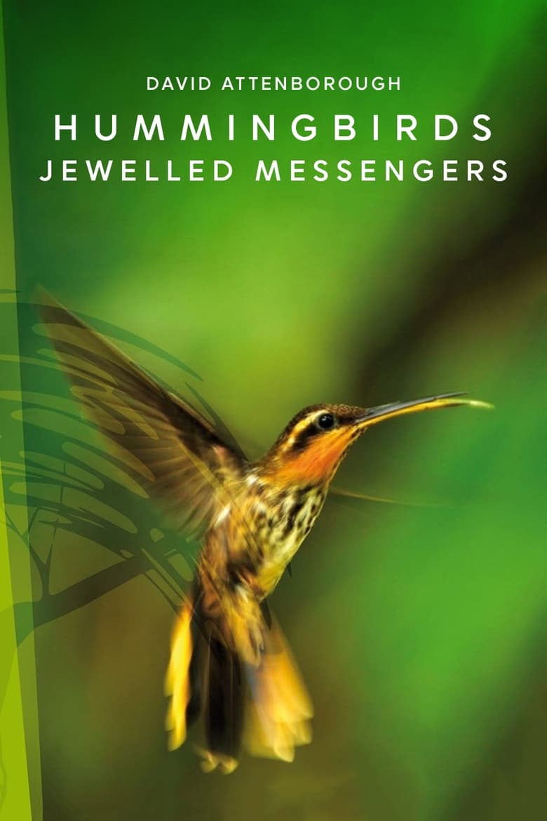 Poster of Hummingbirds: Jewelled Messengers