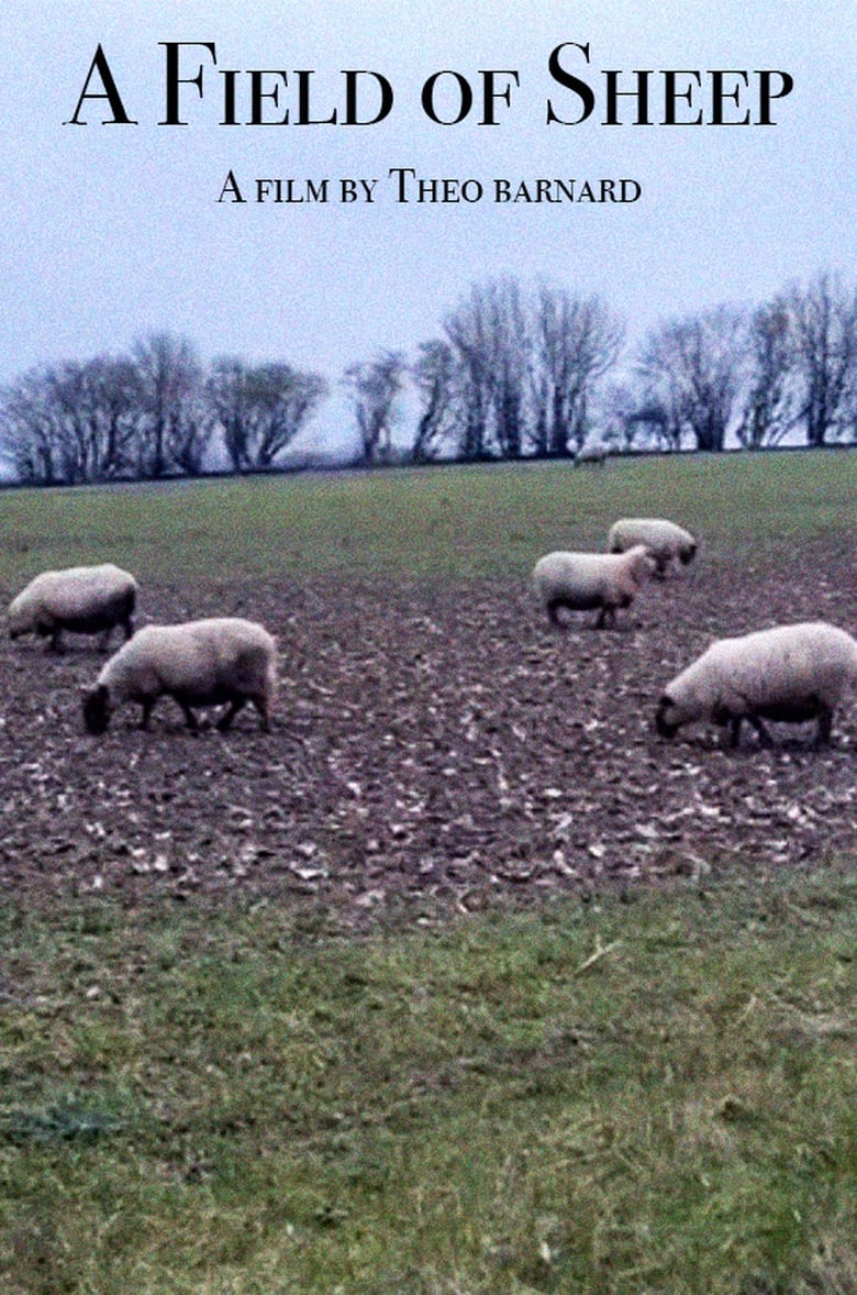 Poster of A Field of Sheep