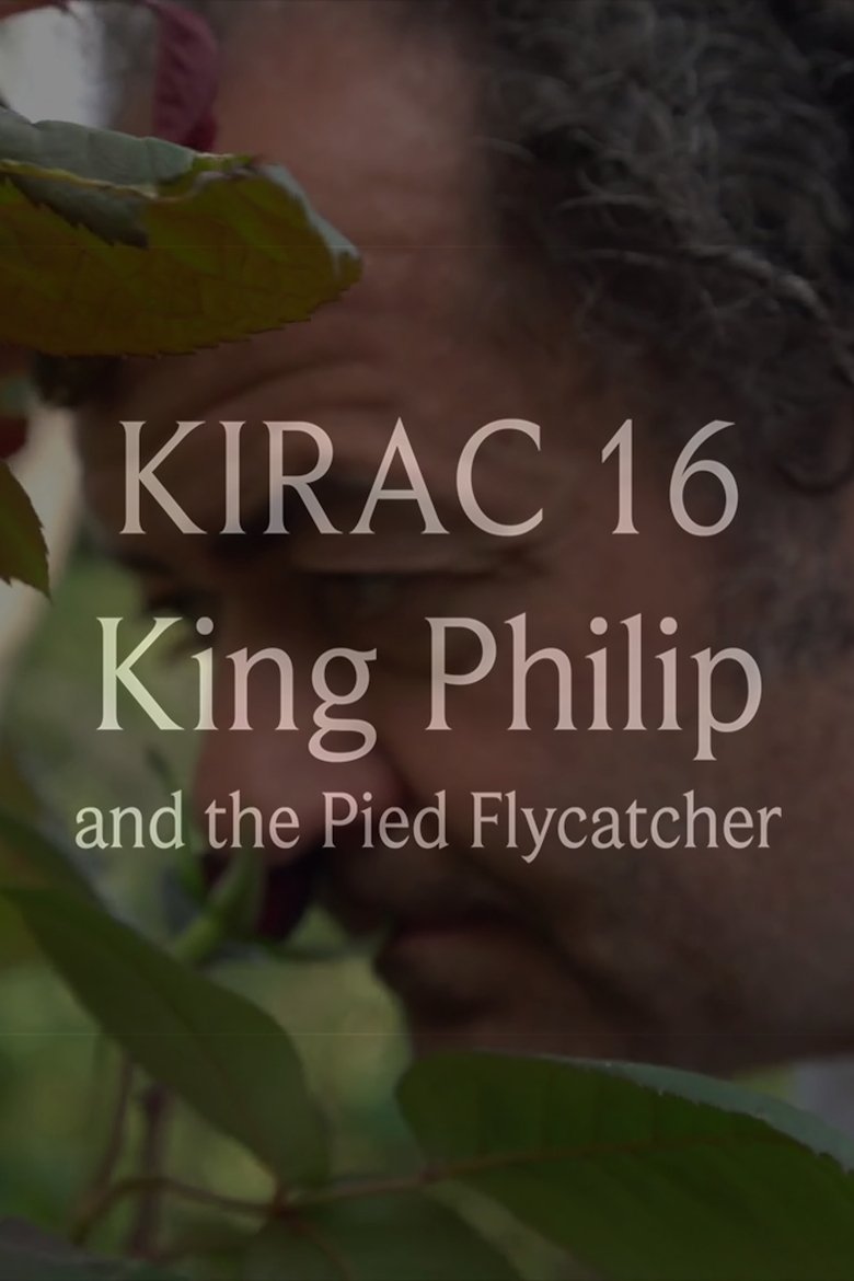 Poster of KIRAC 16: King Philip and the Pied Flycatcher