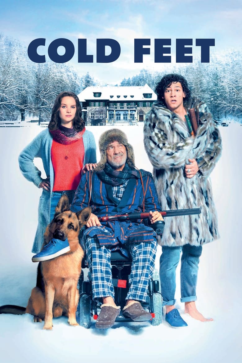 Poster of Cold Feet