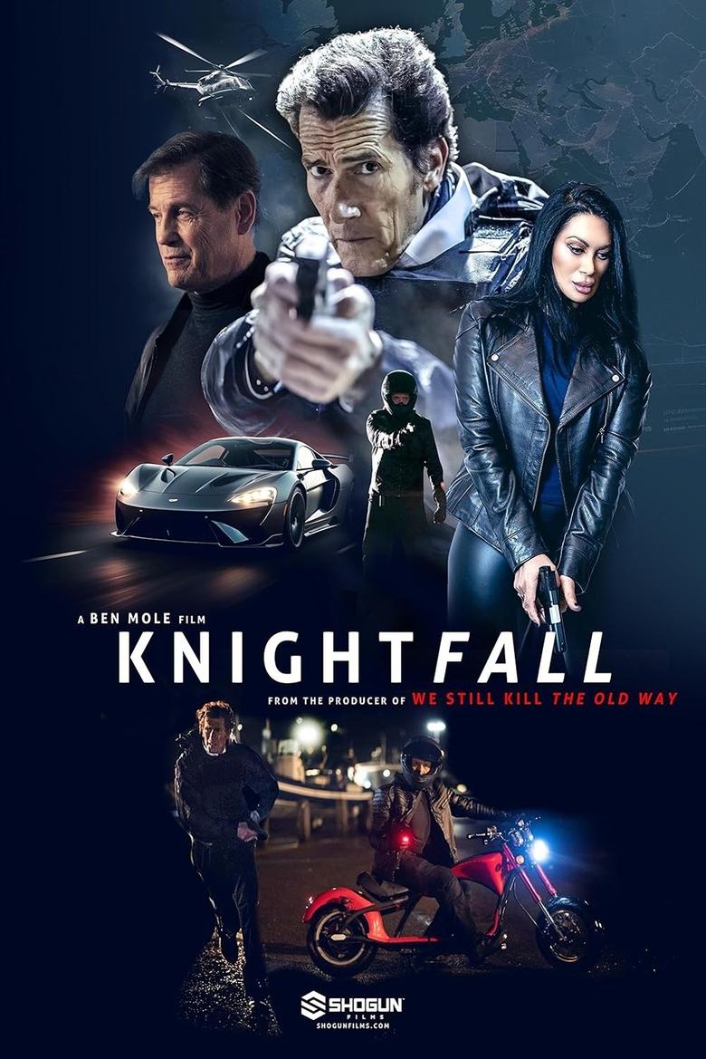 Poster of Knightfall