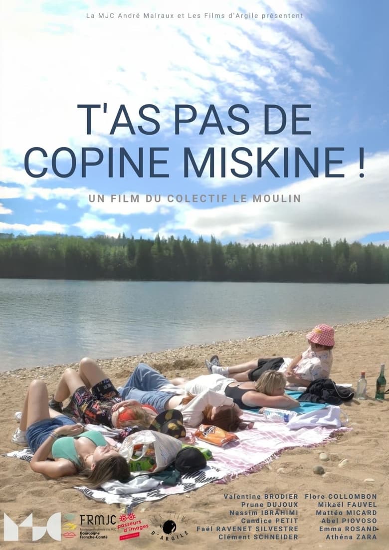 Poster of T'as pas de copine miskine!