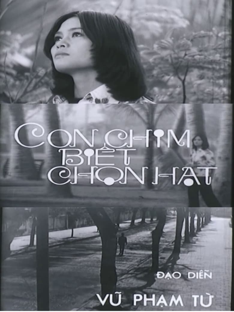 Poster of Con Chim Biết Chọn Hạt