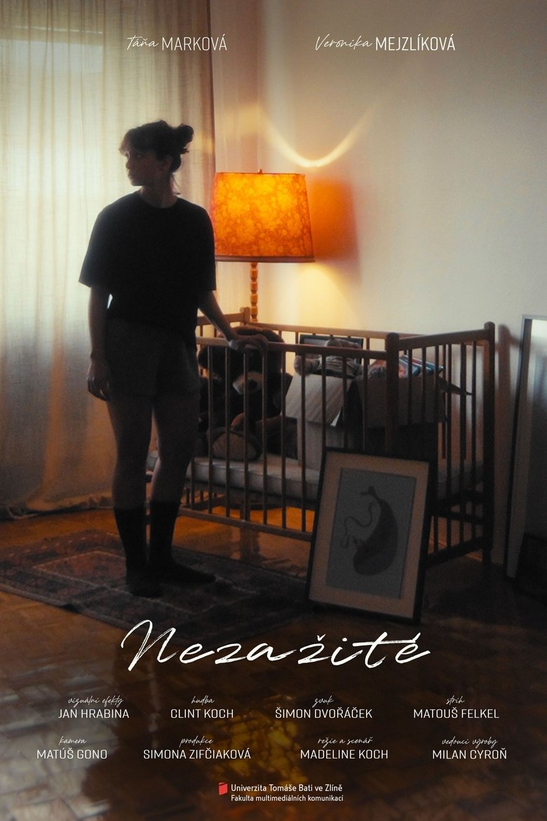Poster of Nezažité