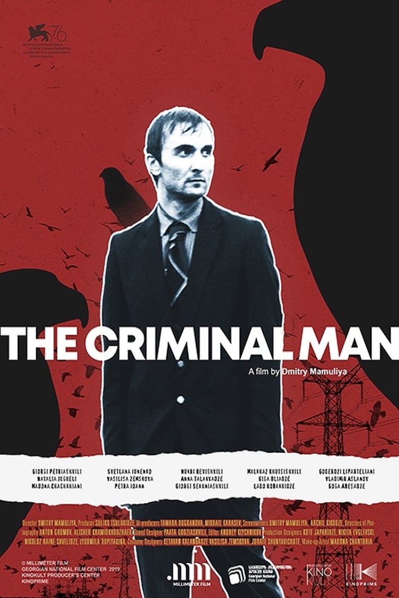 Poster of The Criminal Man