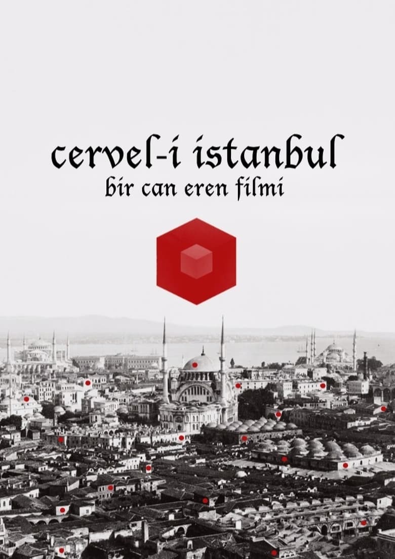 Poster of Cervel-i İstanbul