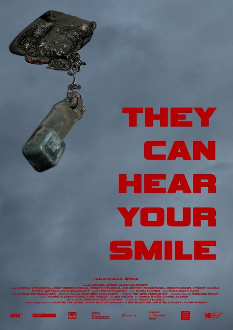Poster of They Can Hear Your Smile