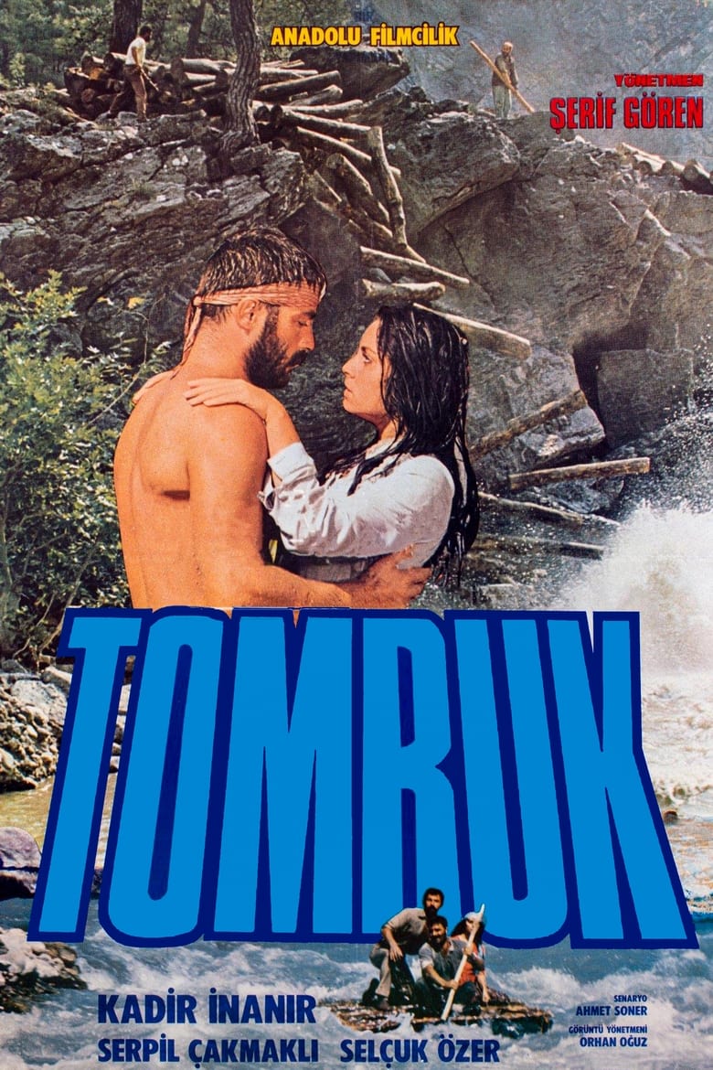 Poster of Tomruk