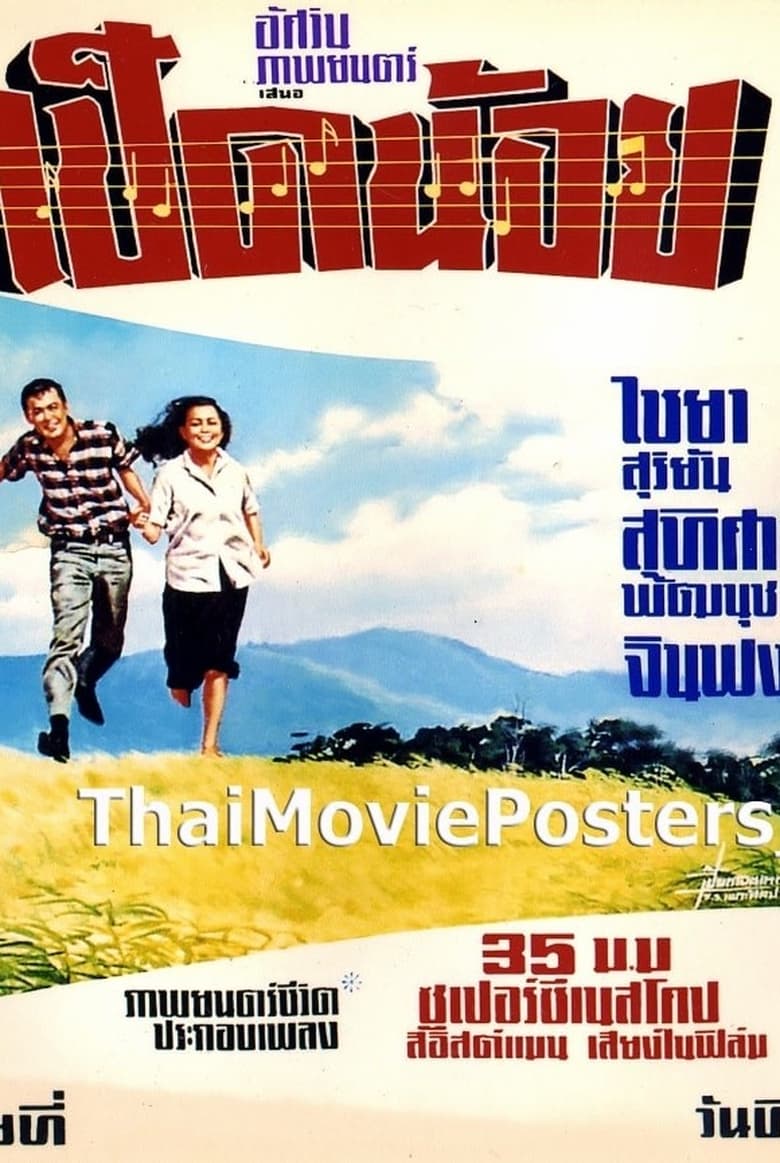 Poster of เป็ดน้อย