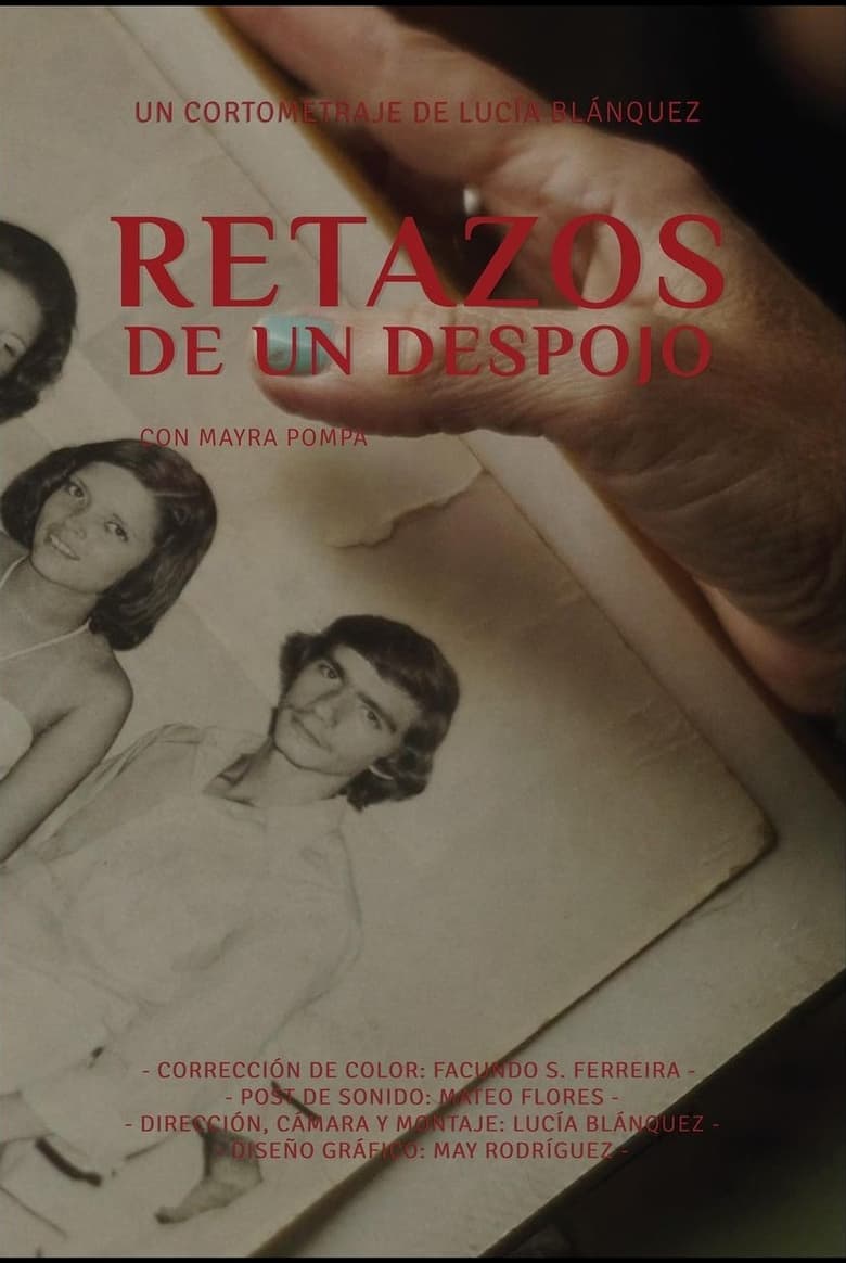 Poster of Retazos de un despojo