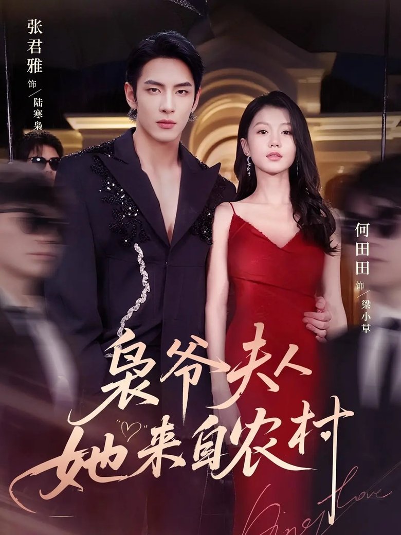 Poster of 枭爷夫人她来自农村