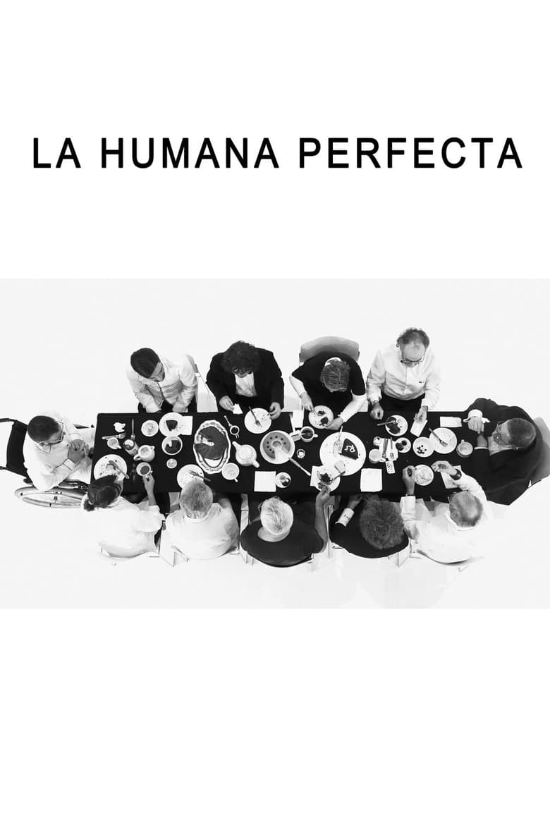 Poster of The Perfect Human