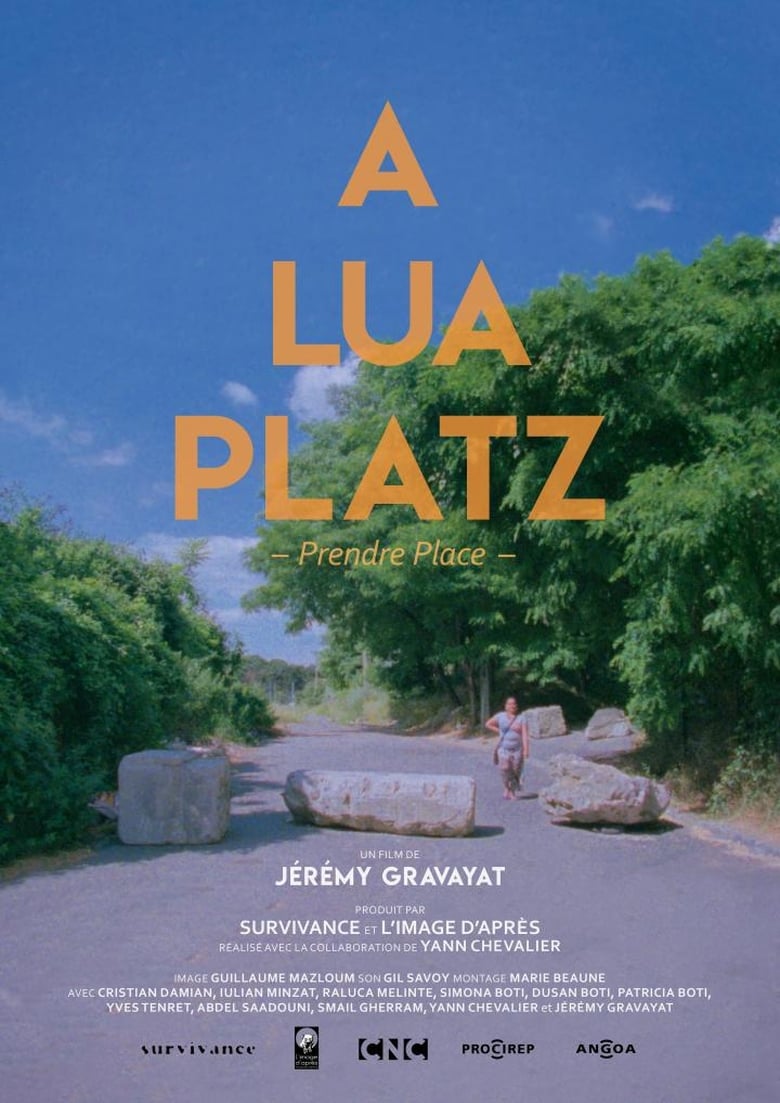 Poster of A Lua Platz