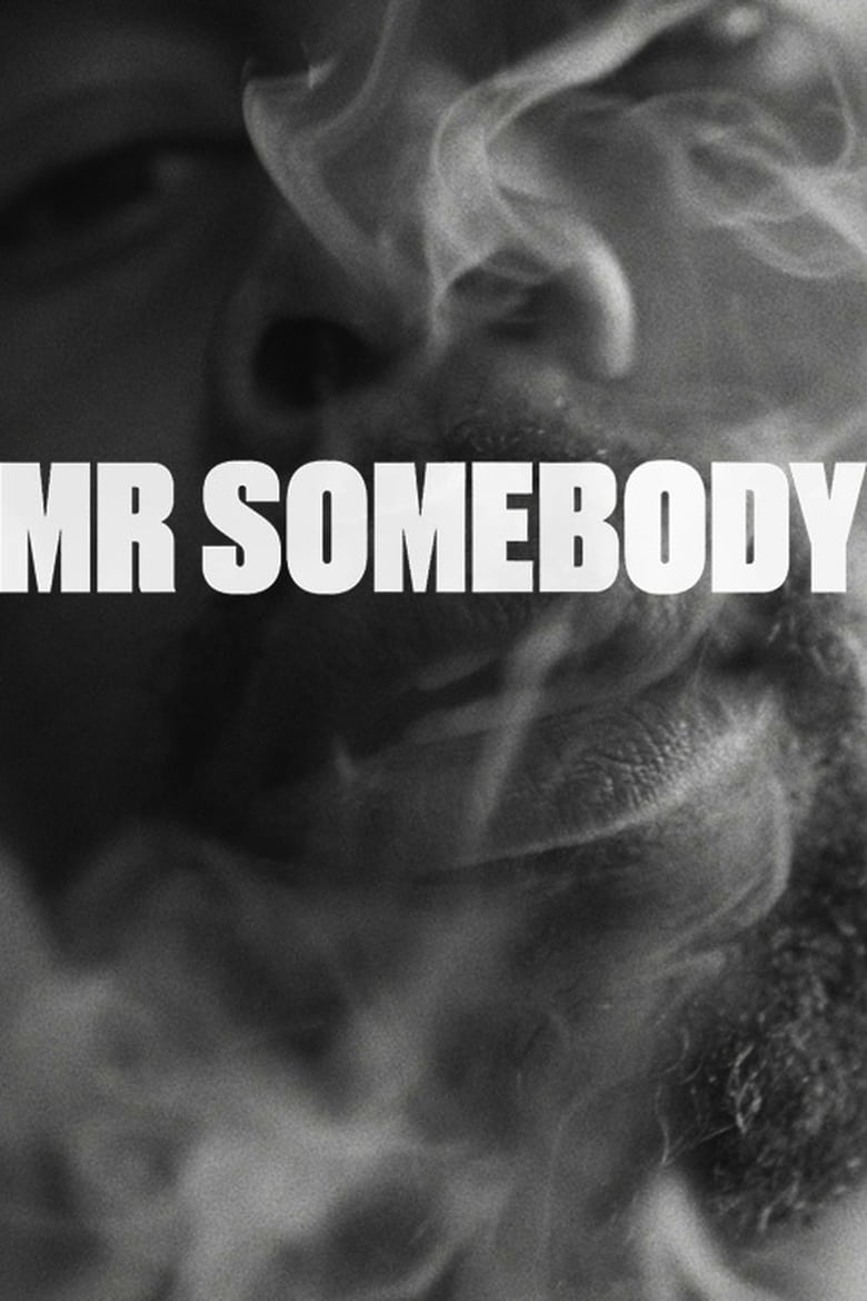 Poster of Mr Somebody