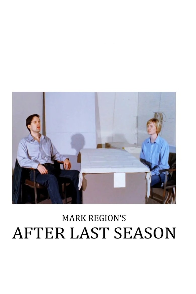 Poster of After Last Season