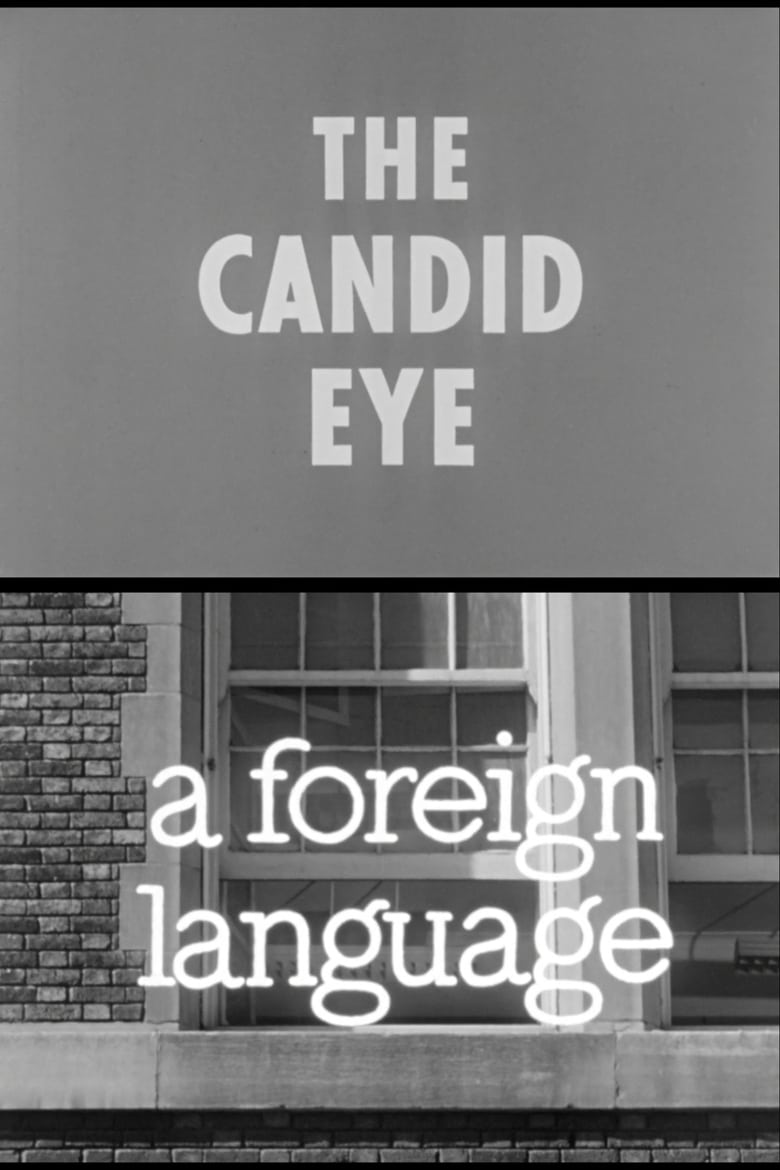 Poster of A Foreign Language