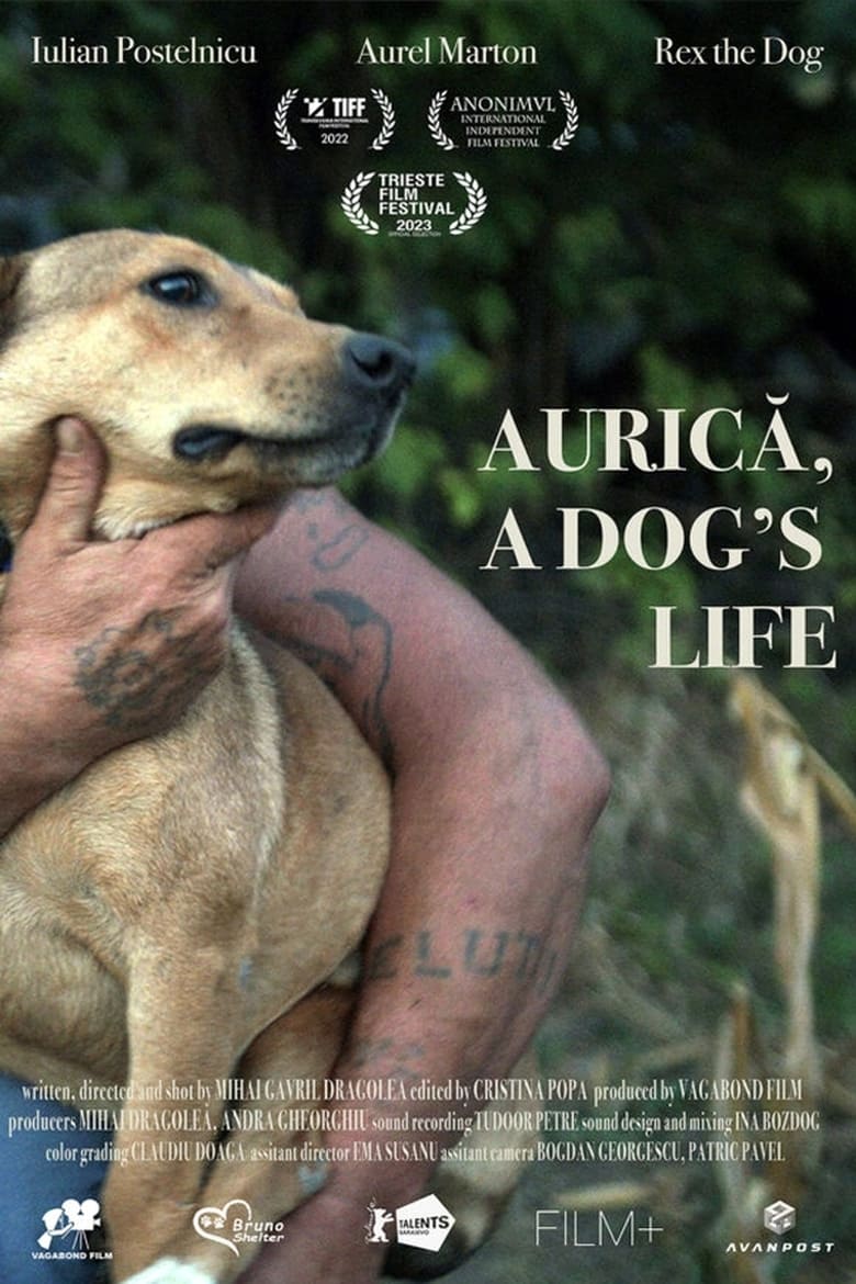 Poster of Aurica, a Dog's Life