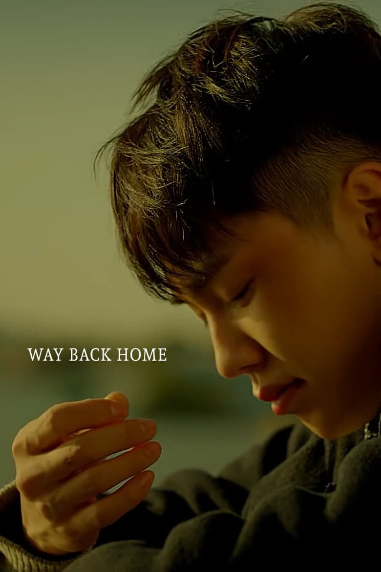 Poster of Way Back Home