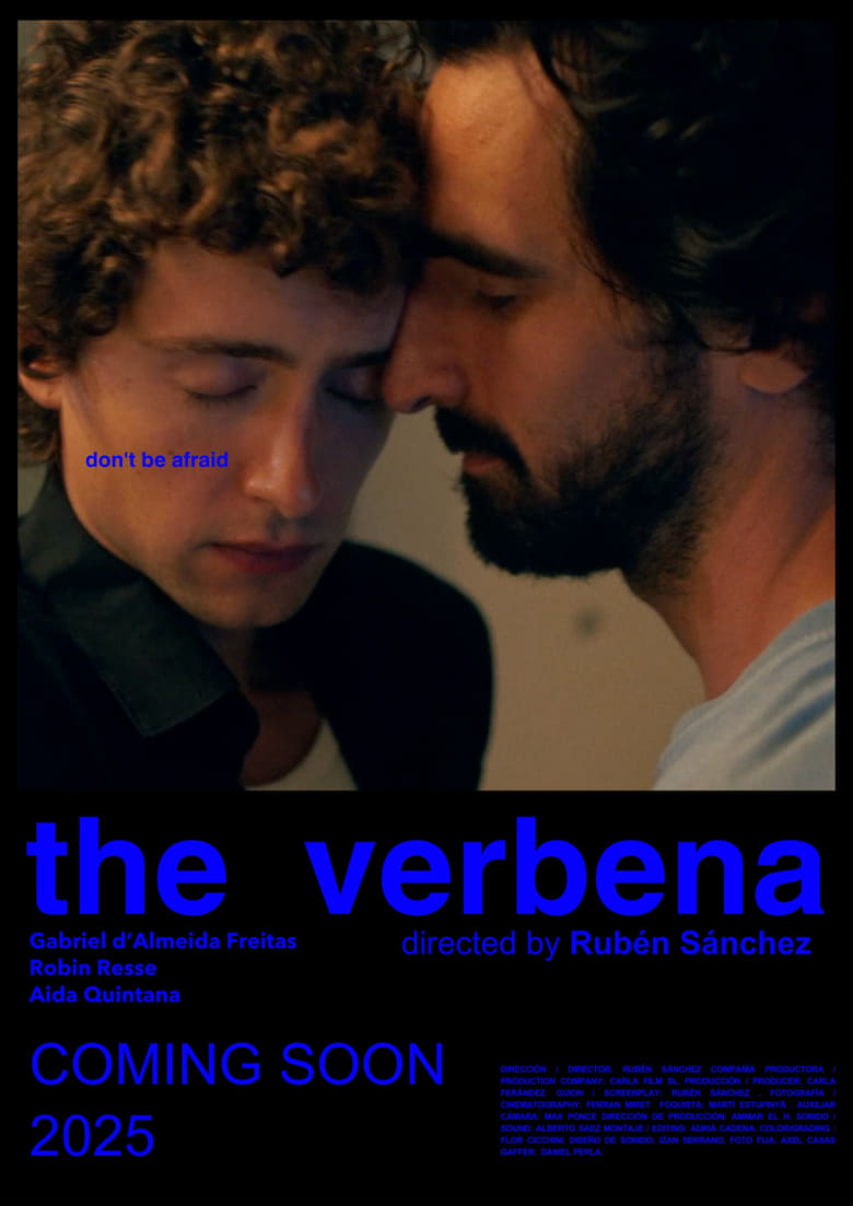 Poster of La verbena