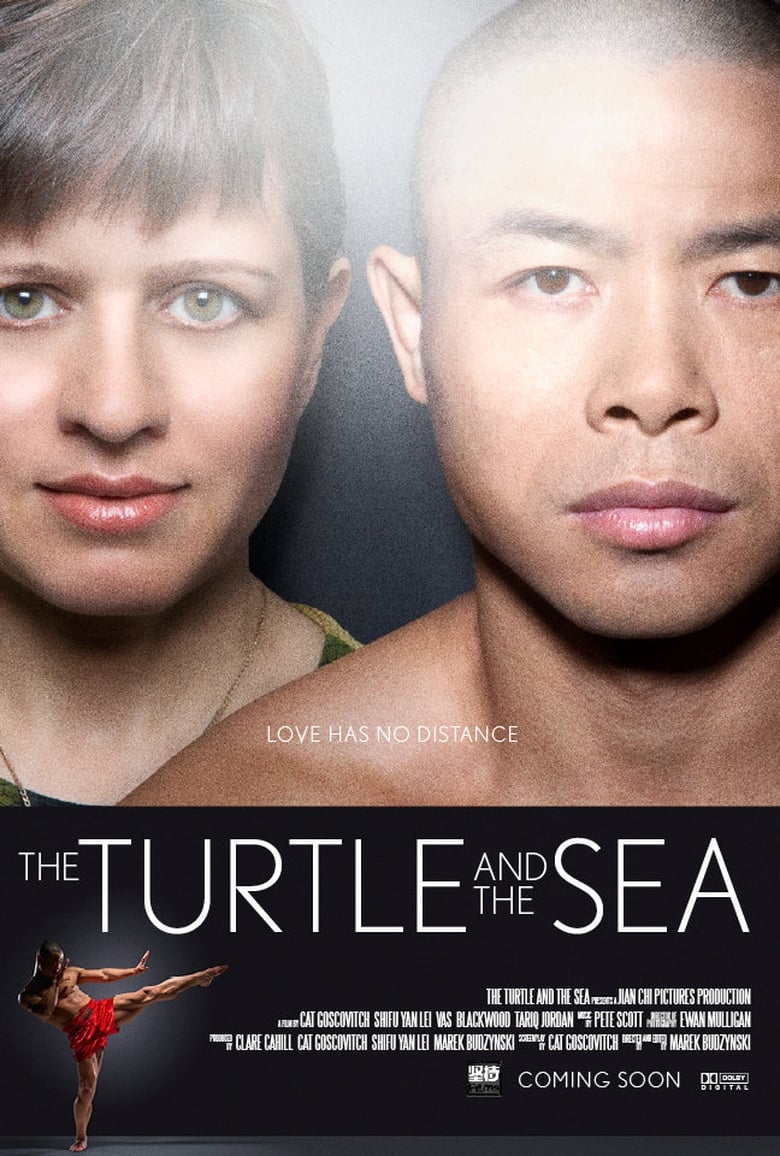 Poster of The Turtle and the Sea