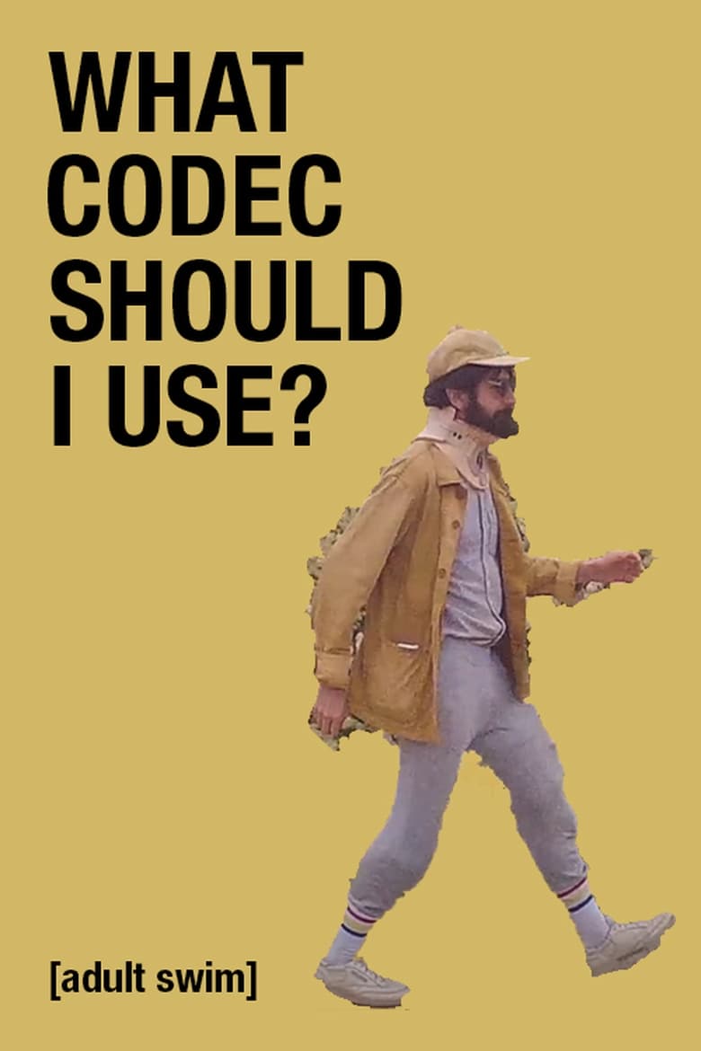 Poster of What Codec Should I Use?