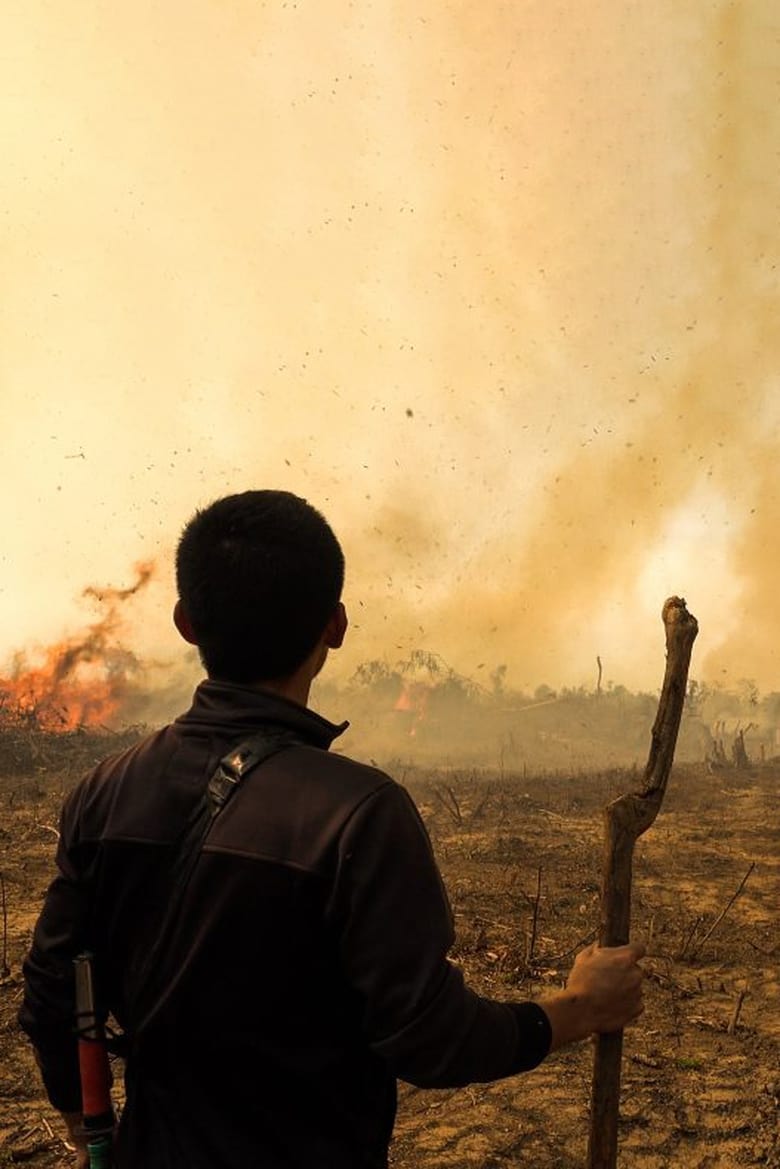 Poster of Fire At Forest