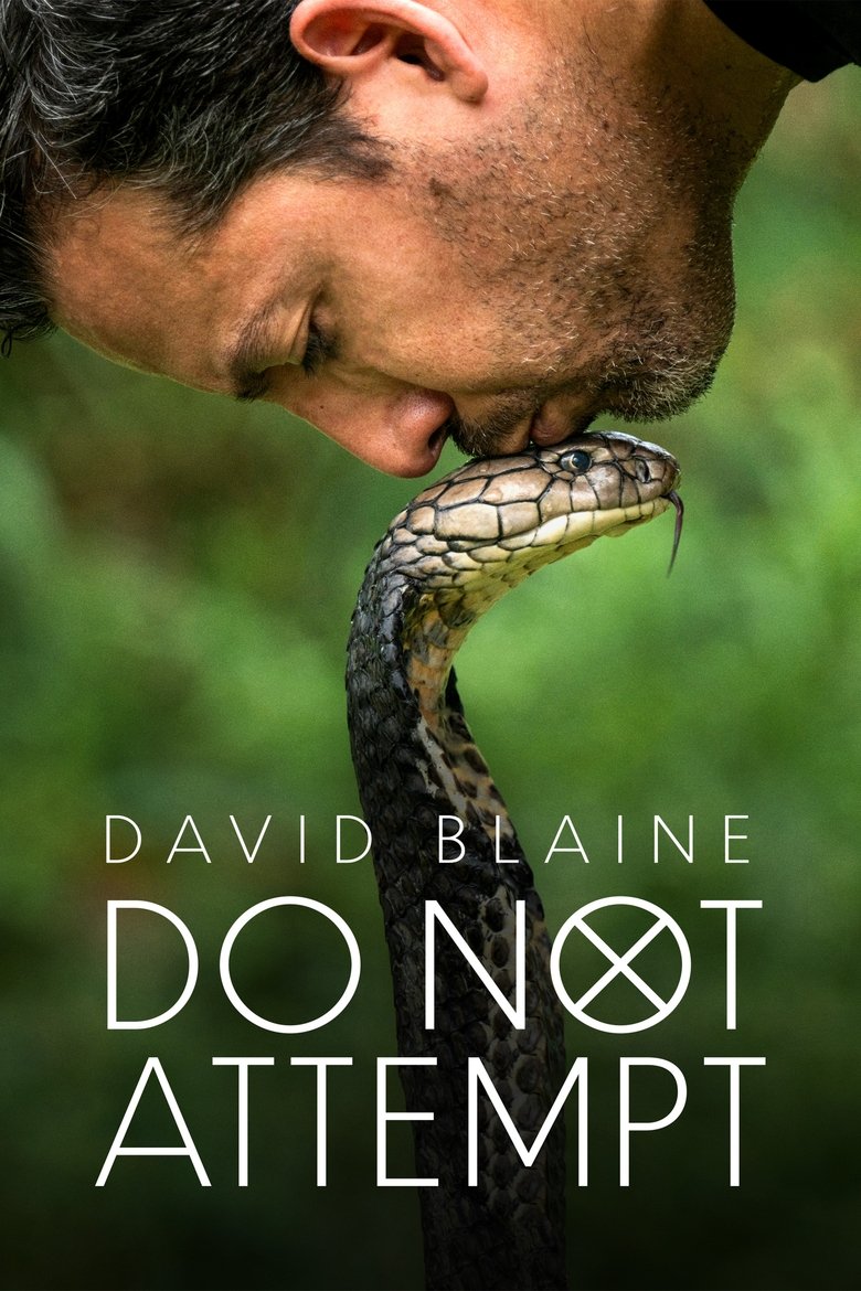 Poster of David Blaine Do Not Attempt